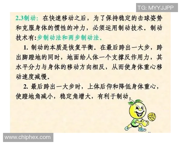 广州排球队灵活性探讨与战术创新的深度分析与展望